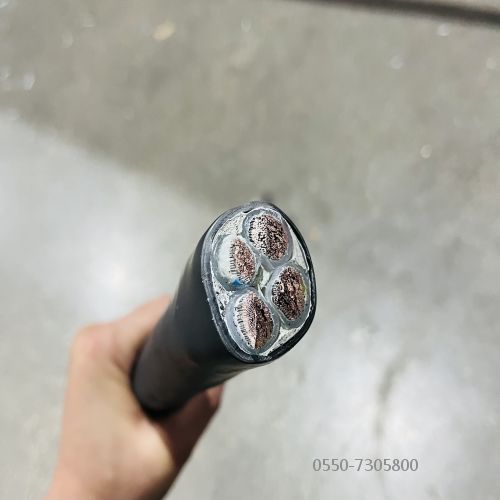 特种电缆.300.jpg 特种电缆.300.jpg