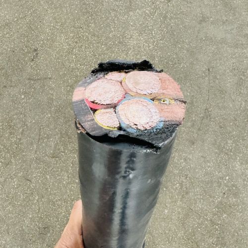 IMG_1864.jpg IMG_1864.jpg