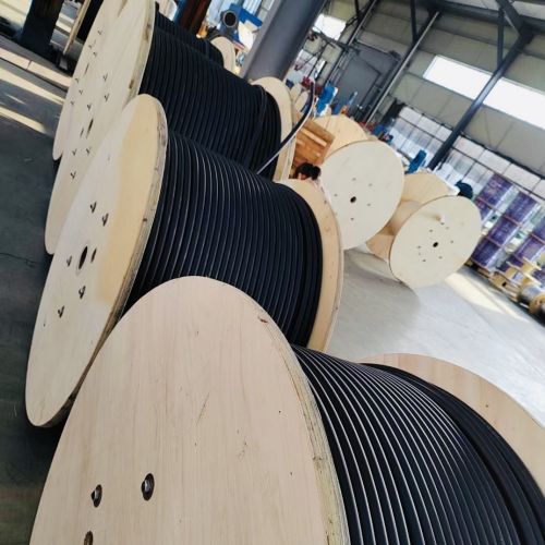 IMG_3224 (2).jpg IMG_3224 (2).jpg