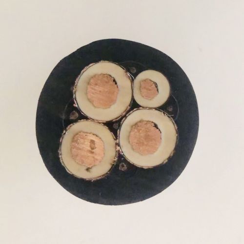 IMG_9303.jpg IMG_9303.jpg