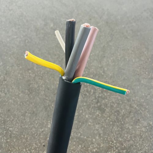 IMG_5354.jpg IMG_5354.jpg