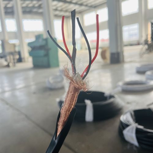 IMG_0717.jpg IMG_0717.jpg