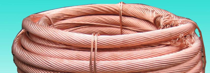 201703131917321787 201703131917321787