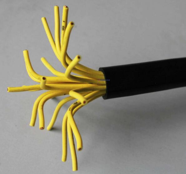 201703151654535796 201703151654535796