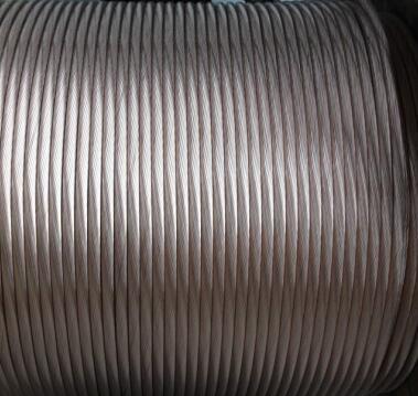 �����������ǲ���Z6���й�������ҳ����