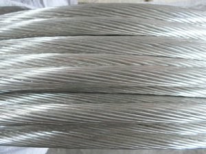 �����������ǲ���Z6���й�������ҳ����