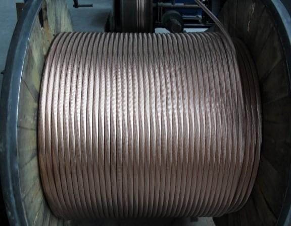 �����������ǲ���Z6���й�������ҳ����