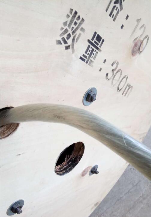 �����������ǲ���Z6���й�������ҳ����