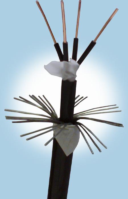 尊龙人生就是博·Z6「中国区」首页官网