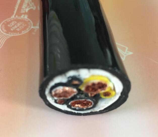 �����������ǲ���Z6���й�������ҳ����