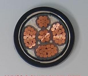 �����������ǲ���Z6���й�������ҳ����