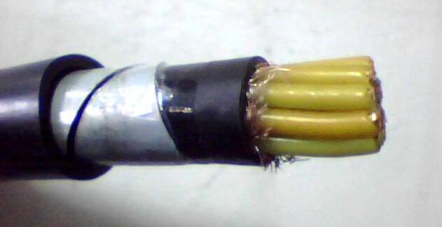 �����������ǲ���Z6���й�������ҳ����