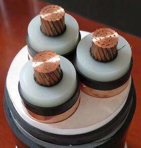 尊龙人生就是博·Z6「中国区」首页官网