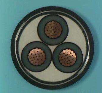 尊龙人生就是博·Z6「中国区」首页官网