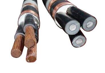 �����������ǲ���Z6���й�������ҳ����