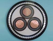 �����������ǲ���Z6���й�������ҳ����