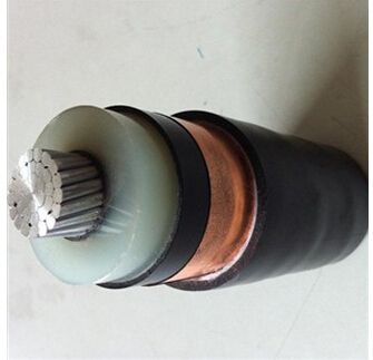 �����������ǲ���Z6���й�������ҳ����