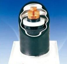 �����������ǲ���Z6���й�������ҳ����