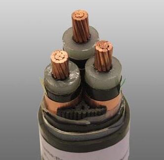 �����������ǲ���Z6���й�������ҳ����