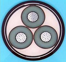 �����������ǲ���Z6���й�������ҳ����