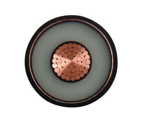 �����������ǲ���Z6���й�������ҳ����