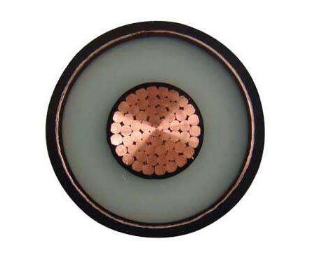 尊龙人生就是博·Z6「中国区」首页官网