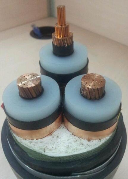 尊龙人生就是博·Z6「中国区」首页官网