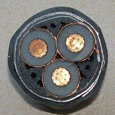 尊龙人生就是博·Z6「中国区」首页官网