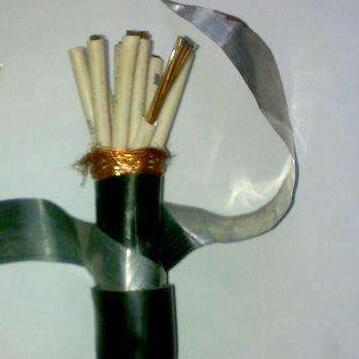 �����������ǲ���Z6���й�������ҳ����