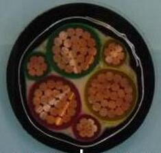 尊龙人生就是博·Z6「中国区」首页官网