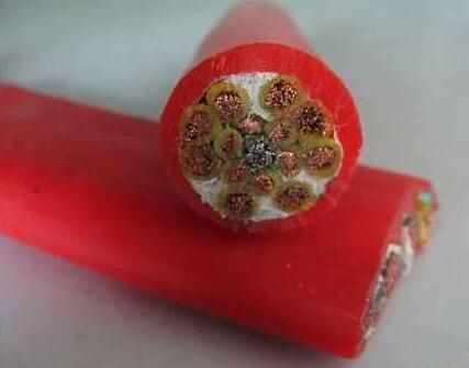 �����������ǲ���Z6���й�������ҳ����