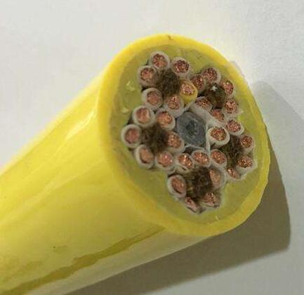 �����������ǲ���Z6���й�������ҳ����