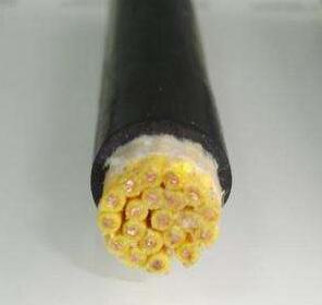 尊龙人生就是博·Z6「中国区」首页官网