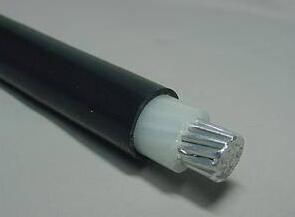 �����������ǲ���Z6���й�������ҳ����