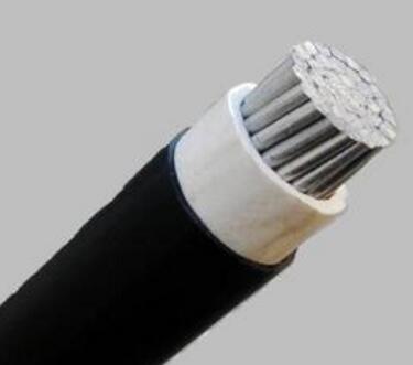 �����������ǲ���Z6���й�������ҳ����