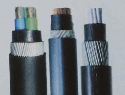 �����������ǲ���Z6���й�������ҳ����