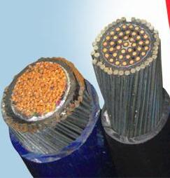 �����������ǲ���Z6���й�������ҳ����