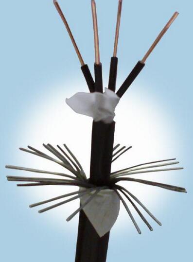 �����������ǲ���Z6���й�������ҳ����