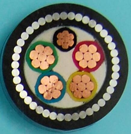 �����������ǲ���Z6���й�������ҳ����