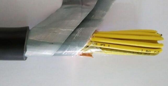 尊龙人生就是博·Z6「中国区」首页官网