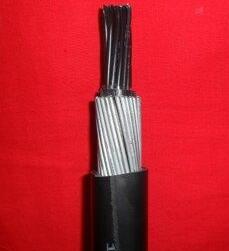 尊龙人生就是博·Z6「中国区」首页官网