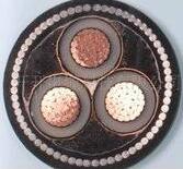 �����������ǲ���Z6���й�������ҳ����