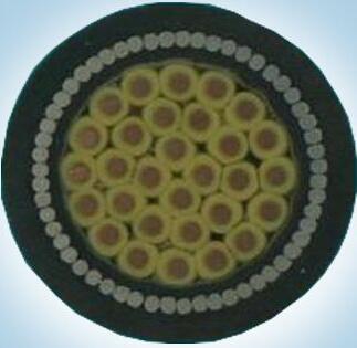 �����������ǲ���Z6���й�������ҳ����