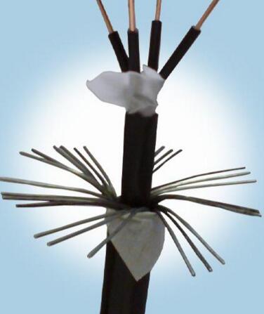 �����������ǲ���Z6���й�������ҳ����