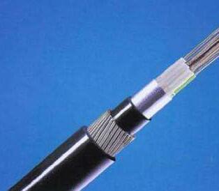 �����������ǲ���Z6���й�������ҳ����