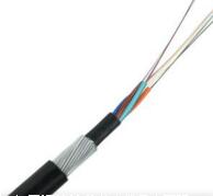 �����������ǲ���Z6���й�������ҳ����