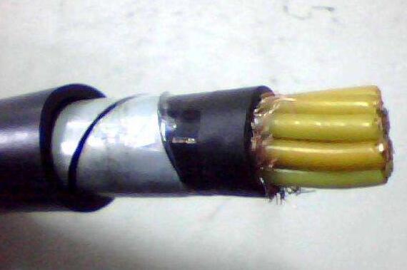 尊龙人生就是博·Z6「中国区」首页官网