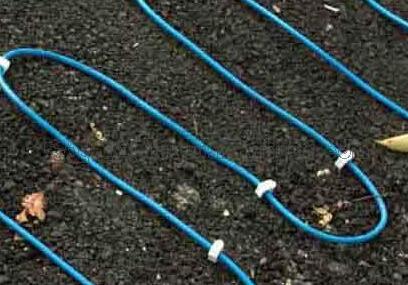 �����������ǲ���Z6���й�������ҳ����