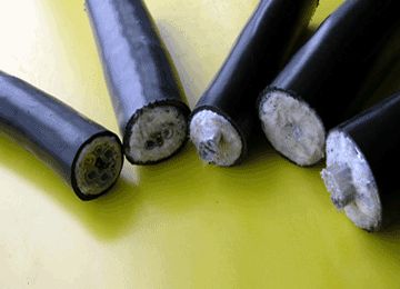 �����������ǲ���Z6���й�������ҳ����