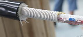 �����������ǲ���Z6���й�������ҳ����